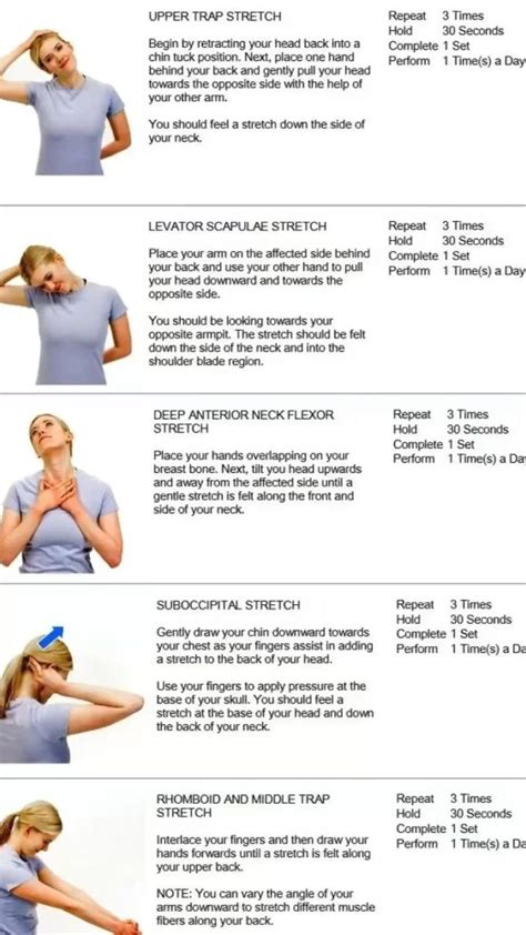 Neck Exercise 的图像结果