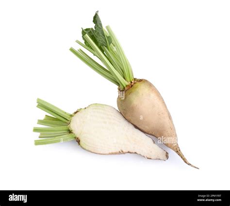 White Beets Rainbow Blend, Beet Seeds | Urban Farmer