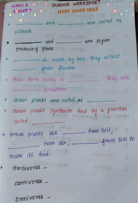 Image result for 6th Class Science Exercise