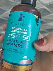 Buy Pilgrim Mild Sulphate Free Shampoo (Argan Oil) For Dry Frizzy Hair ...