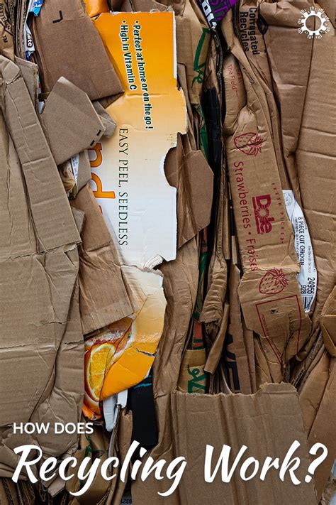 Image result for Recycling Explained