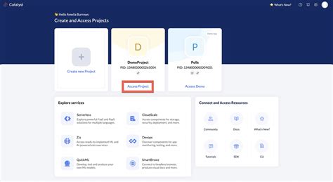 Catalyst Browse Tutorial 的图像结果