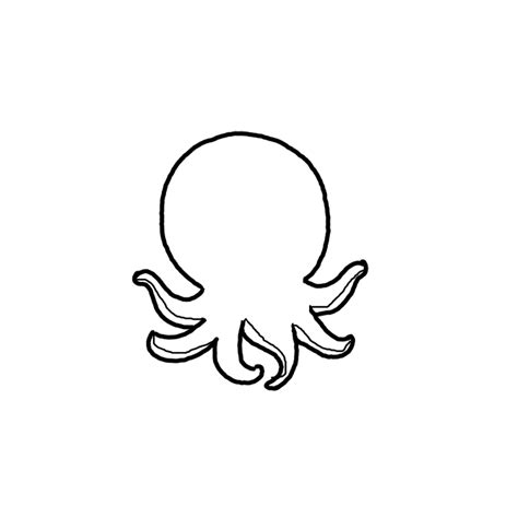 Octopus Software without Box 的图像结果