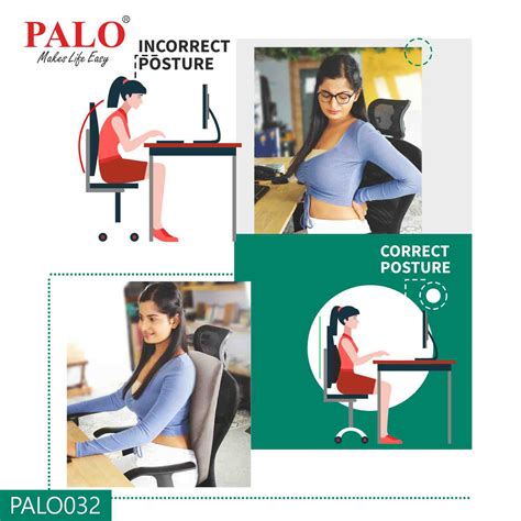 PALO032 PALO Orthopedic Ergonomic Long Back Support with Memory Foam ...