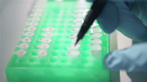 Image result for Bio Lab Experiments