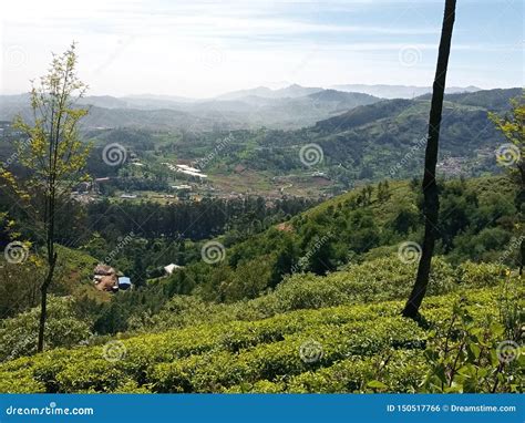 Climate Of Ooty