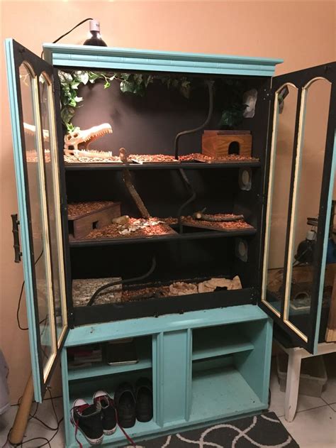 Image result for DIY Ball Python Rack