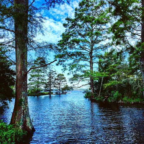MUNDEN POINT PARK (Virginia Beach): Ce qu'il faut savoir pour votre ...
