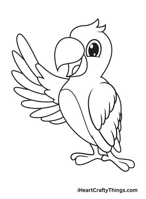 Image result for How to Draw Simple Parrot