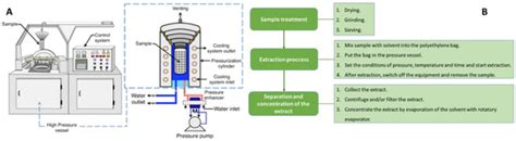 Up-To-Date Analysis of the Extraction Methods for Anthocyanins ...