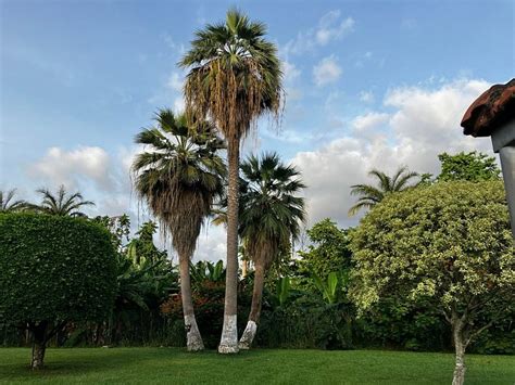 BISILA PALACE HOTEL; (Malabo) - Hotel Reviews, Photos, Rate Comparison ...