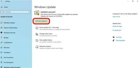 Image result for Resume Windows Update Download