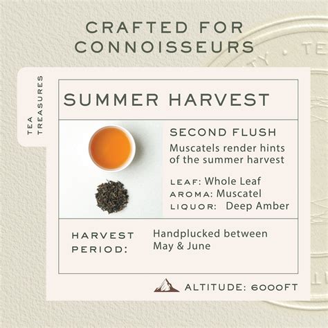 Buy Summer Solstice Muscatel – Second Flush Black Tea Tin – Makaibari Tea