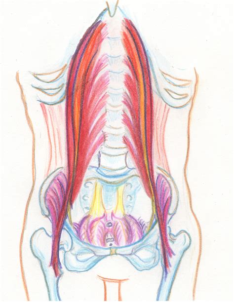 Psoas Muscle Release in Pregnancy - Relieve Pain - Spinning Babies