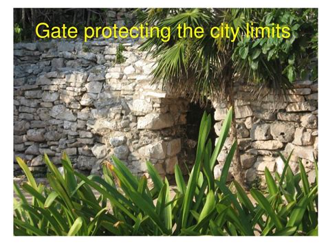 Mayan Religion 的图像结果