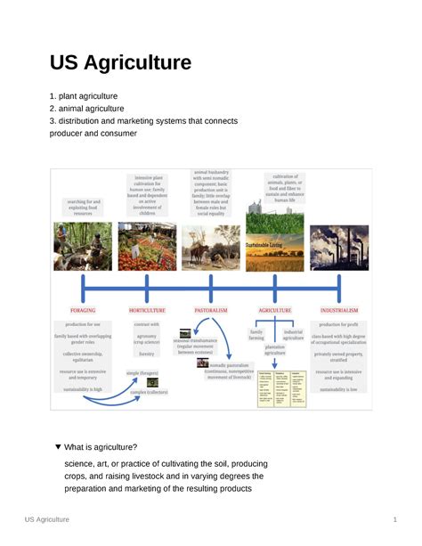 Agriculture Process 的图像结果