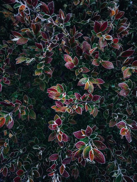 Asu Semester Schedule: Ultimate Guide To Master Your Academic Year News