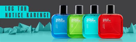 Buy Wild Stone Edge EDP Premium Perfume for Men, 100 Ml | Long-lasting ...