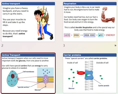 Free Science Lessons Active Transport 的图像结果