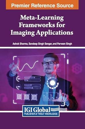 Buy Meta-Learning Frameworks for Imaging Applications Book Online at ...