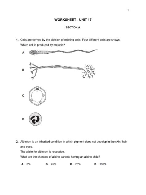 Genetics and Inheritance Worksheet 的图像结果