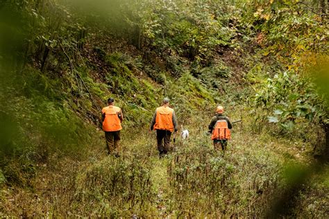 West Virginia Hunting Guide – Licenses, Seasons & Regulations