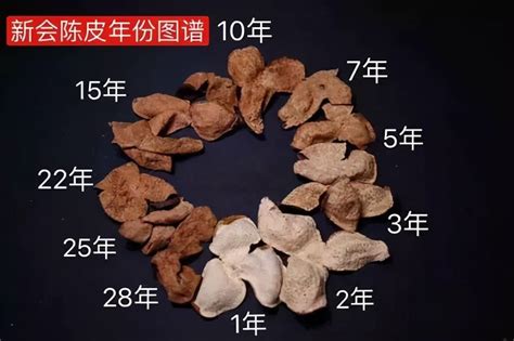 正宗新会陈皮批发 地道10年陈皮广东特产陈皮干皮 老陈皮批发陈化-阿里巴巴