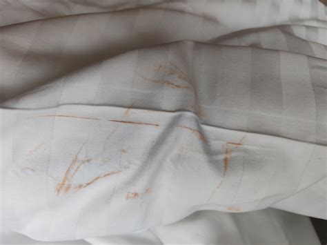 THE DOT (Munich) - B&B Reviews, Photos, Rate Comparison - Tripadvisor