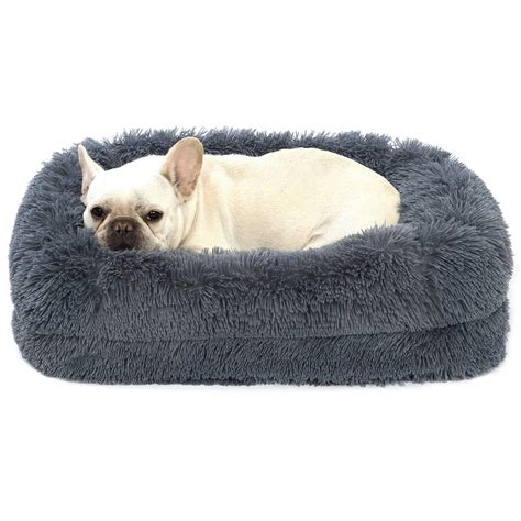 Dogs With Two Layers Of Fur at Jo Diggs blog
