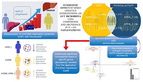 A Low Glycemic Index Mediterranean Diet Combined with Aerobic Physical ...