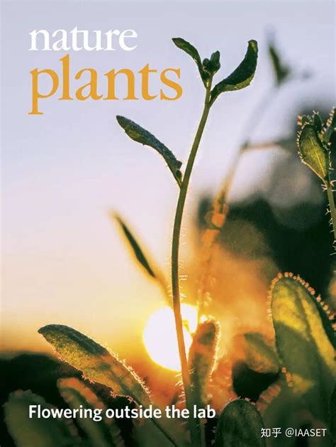 Nature期刊封面 的图像结果