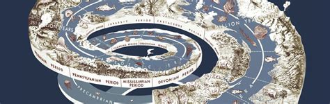 Animal Evolution Timeline