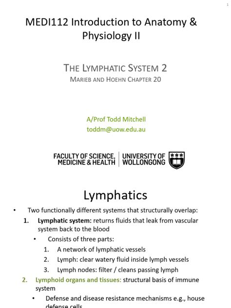 Lymphatic System Lecture 的图像结果