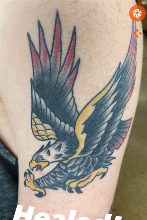 American Traditional Eagle Tattoo Designs
