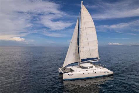 2025 Catamaran sunset sailing papagayo gulf (Playas del Coco) - with ...