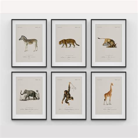 Gallery Wall & Sets: Buy Beautiful Art Set by Talented Artists India ...