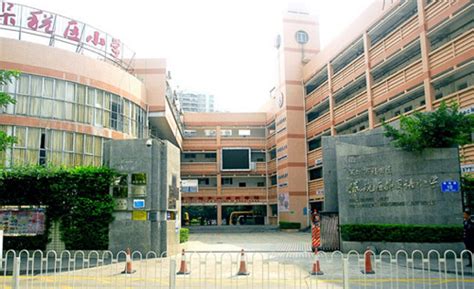 校医共建，守护健康——德阳市医院携手外国语小学护航儿童健康成长