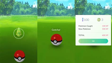 Image result for How to Play Pokemon Go Tutorial