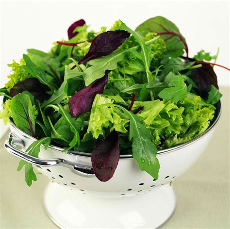 Types Of Decorative Lettuce at William Gainey blog