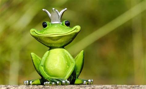 Dreams About Frogs – Symbolism and Meaning - Symbol Sage