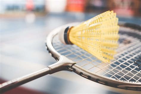 Badminton Racket and Shuttle 的图像结果