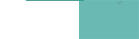 Company Overview - Shantou Hiso Tech Co., Ltd.