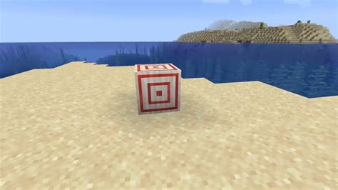 Image result for Minecraft Target Block