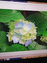 GIGABYTE G24F 23.8 Inch (60.452 Cm), 165Hz (170Hz Oc) Gaming Led ...