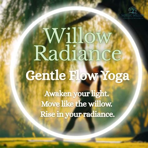 Willow Radiance: Gentle Flow w/Corina, 289 East Street, Ludlow, MA ...