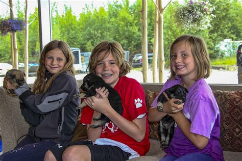 Happy Trails Kennel Dog Sled Tours | Big Lake, Alaska | ALASKA.ORG