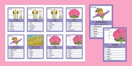 Plant Reproduction Can You Guess Cards