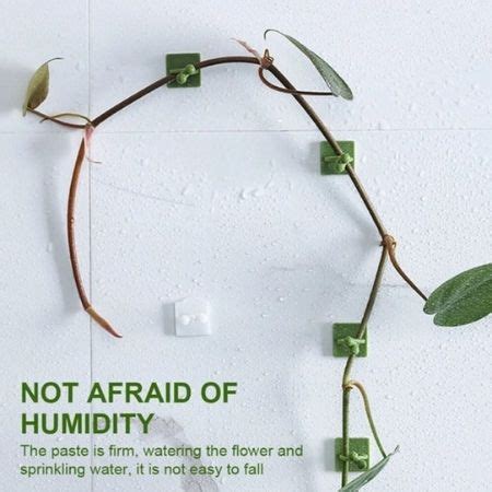 WALL CLIMBING PLANT HOOK CLIPS (Pack Of 30 Pieces) – Wildhut