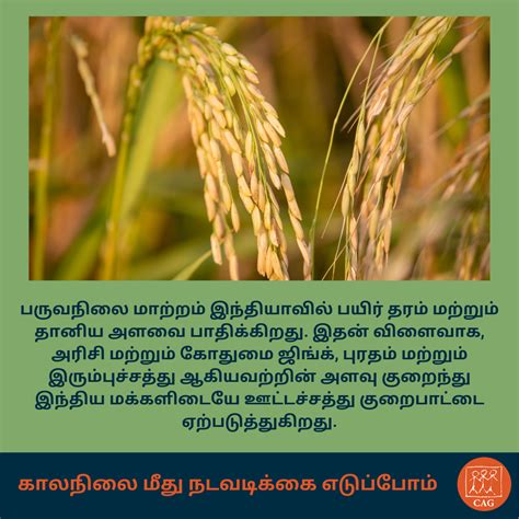 Climate Change: Poor nutrition among Indians | Climate Connection