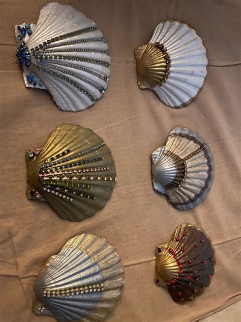 Image result for Clam Shell Crafts